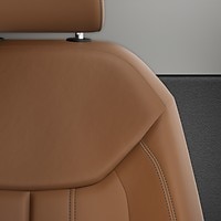 Vehicle interior color