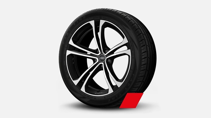 22" 5 twin-spoke, black metallic gloss turned finish