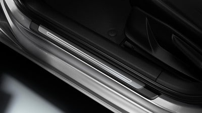 Front door sills with illuminated aluminium inlays