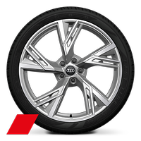 Räder Audi Sport, 5-V-Speichen-Trapez, platingrau, glanzgedreht, 8,5Jx21, Reifen 255/35 R21