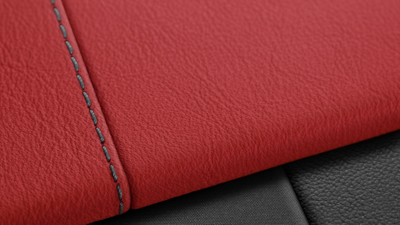 Vehicle interior color