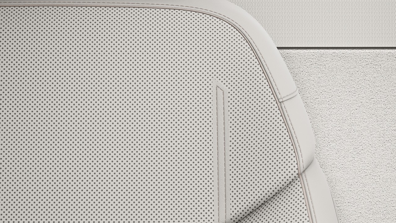 Vehicle interior color