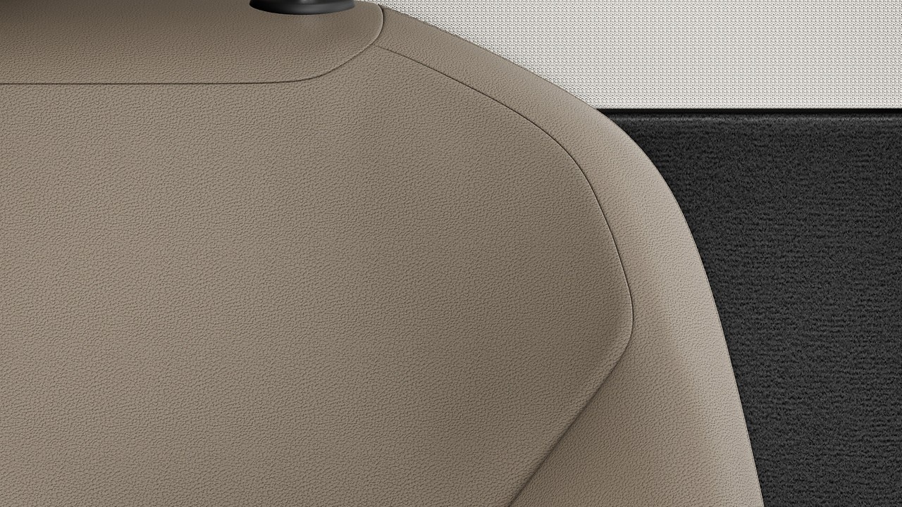 Vehicle interior color