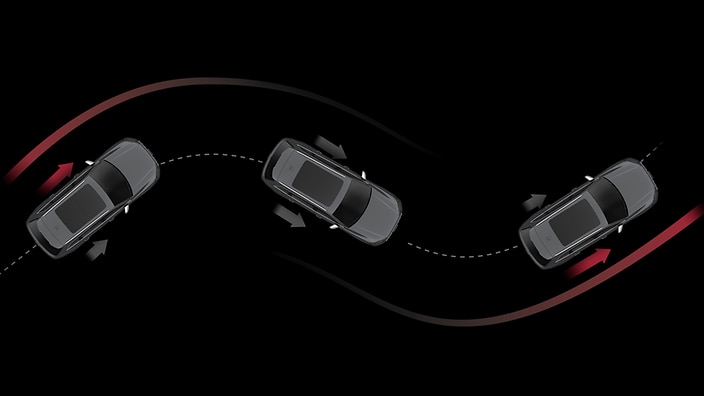 Dynamic package