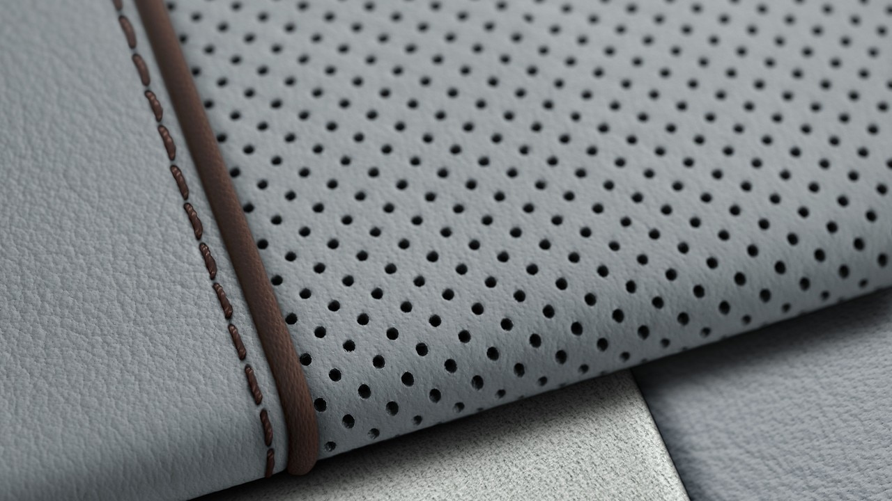 Vehicle interior color