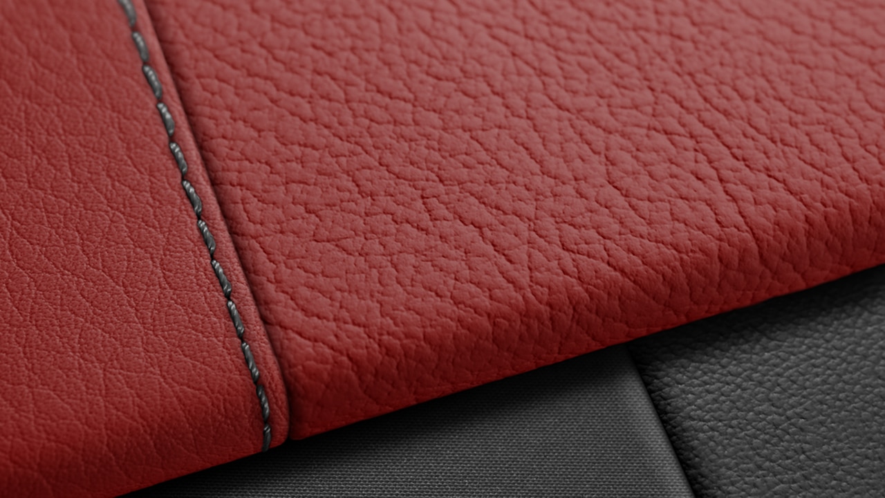 Vehicle interior color