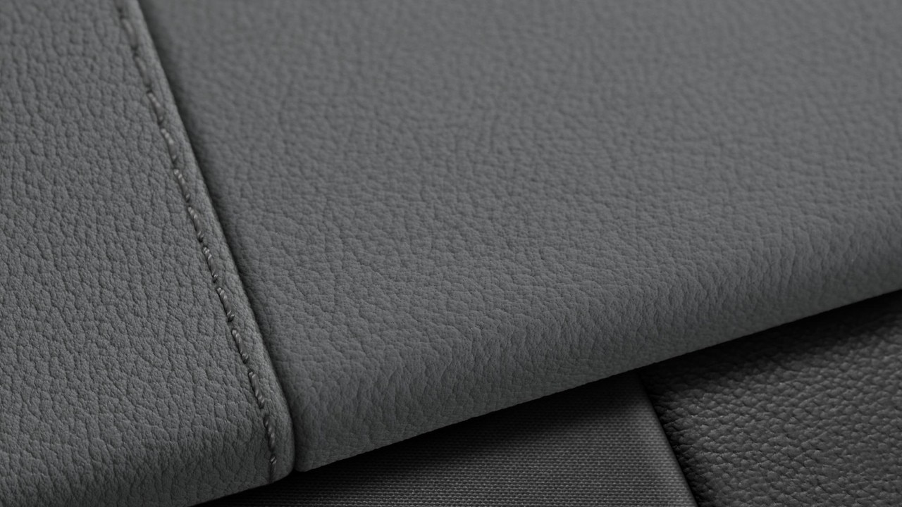 Vehicle interior color