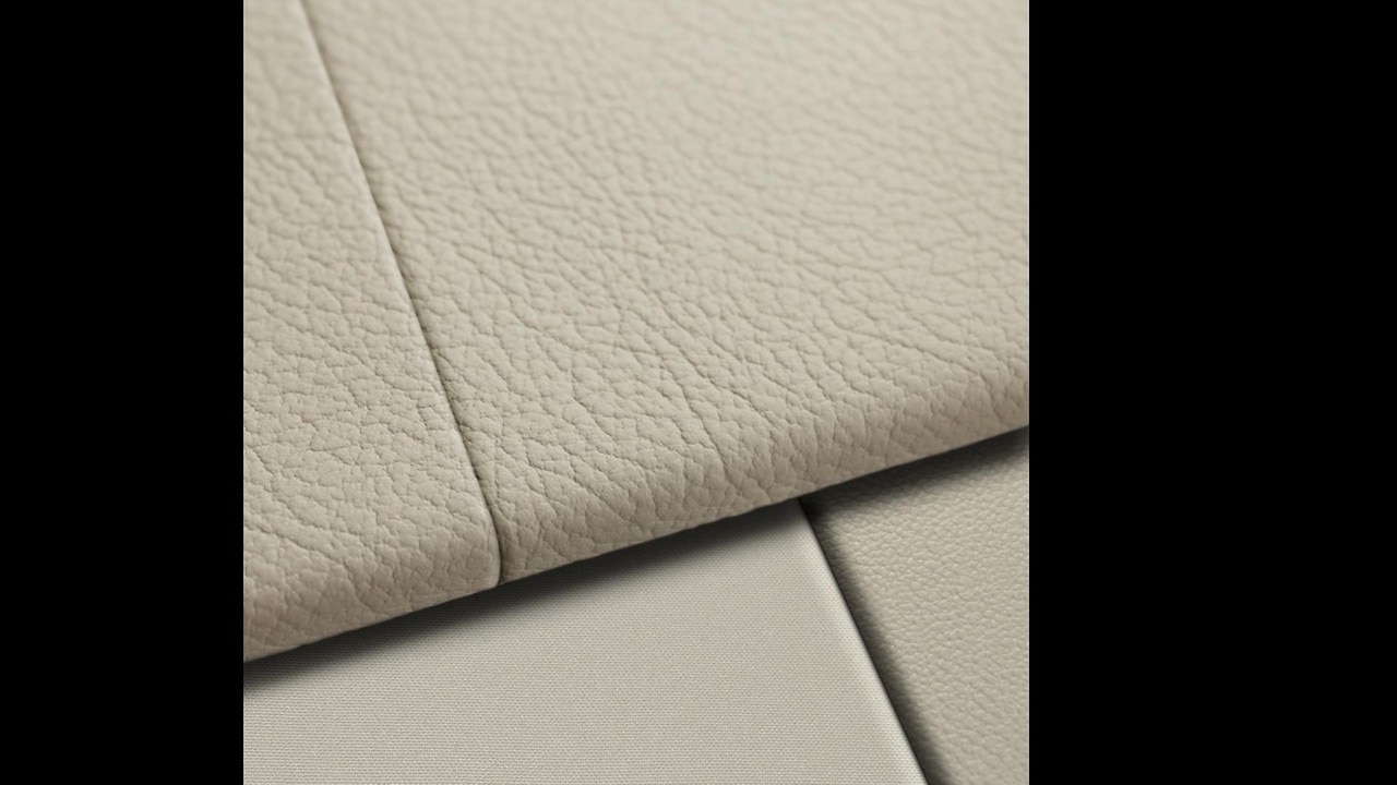 Vehicle interior color
