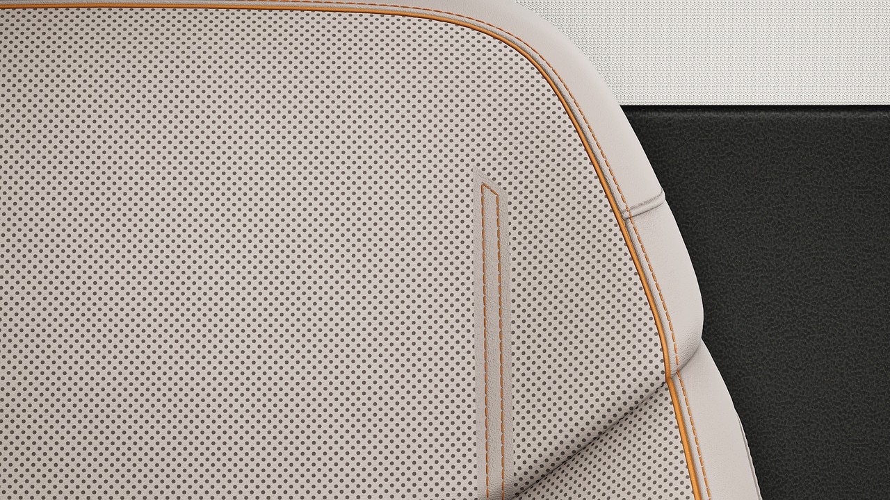 Vehicle interior color
