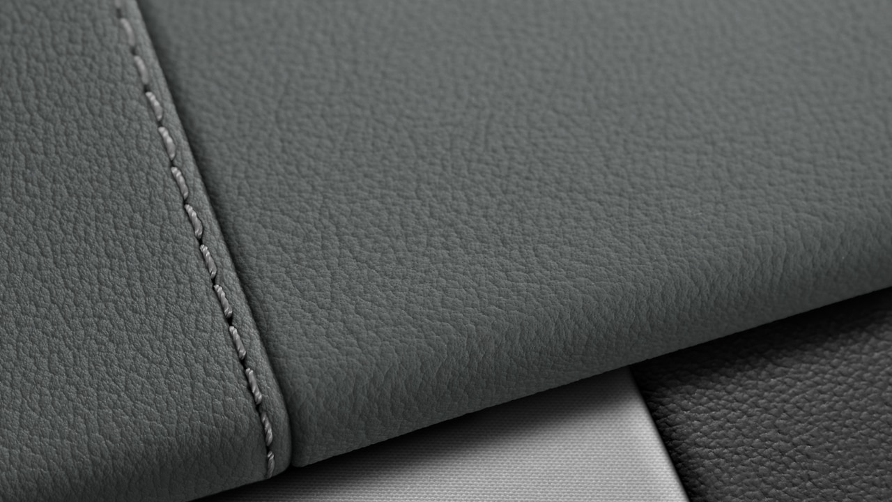 Vehicle interior color