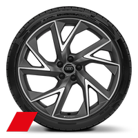 Cerchi in lega leggera Audi Sport, con design trigon a 5 razze, grigio titanio, torniti lucidi 8,5J x 21 con pneumatici 255/35 R21