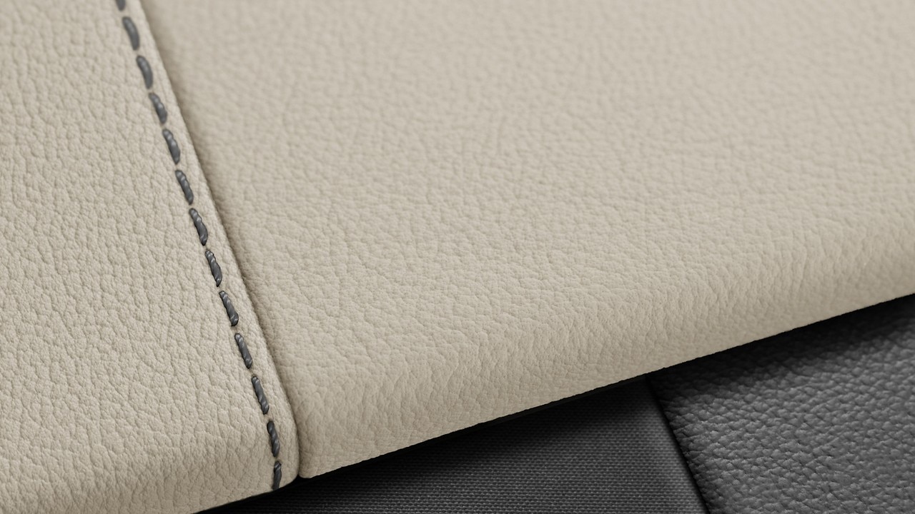 Vehicle interior color