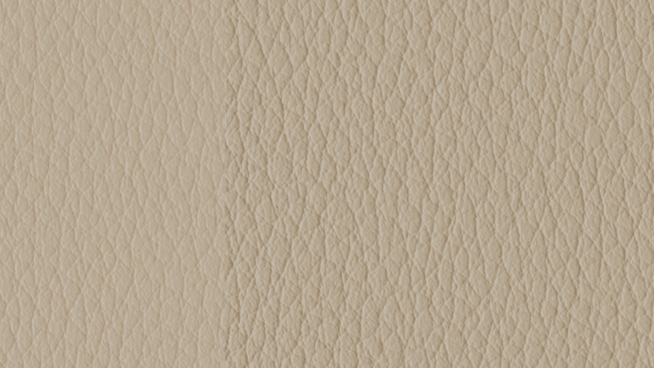Vehicle interior color