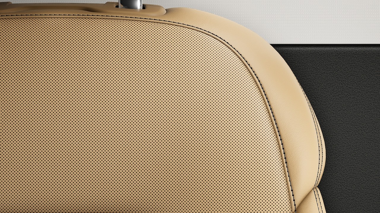 Vehicle interior color