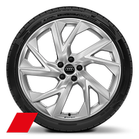 Wheels, 5-arm "Trigon" style, 8.5J x 21, 255/35 R21 tires