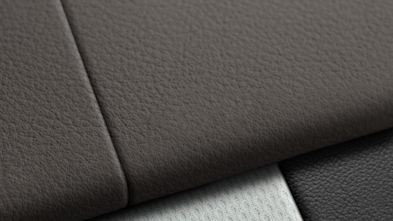 Vehicle interior color