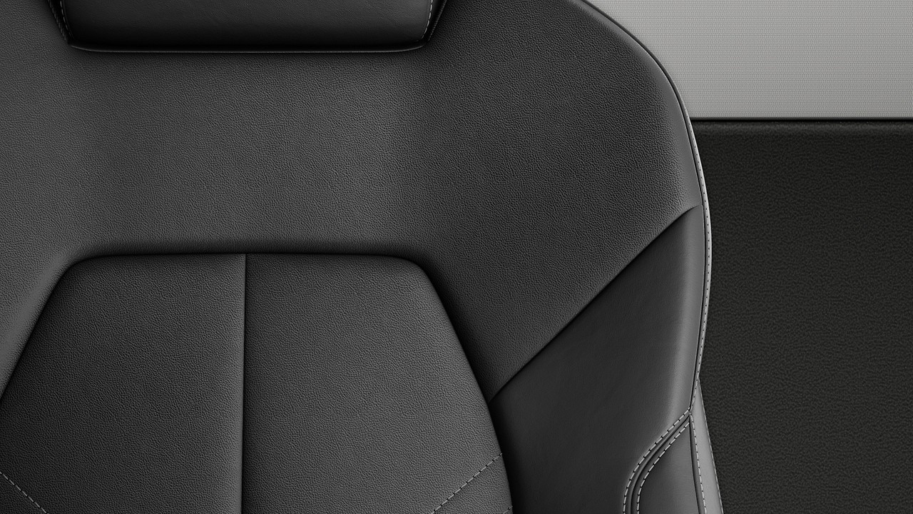 Vehicle interior color