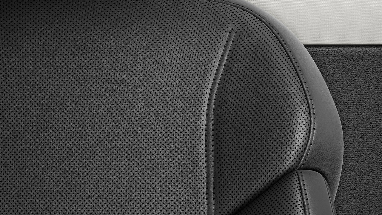 Vehicle interior color