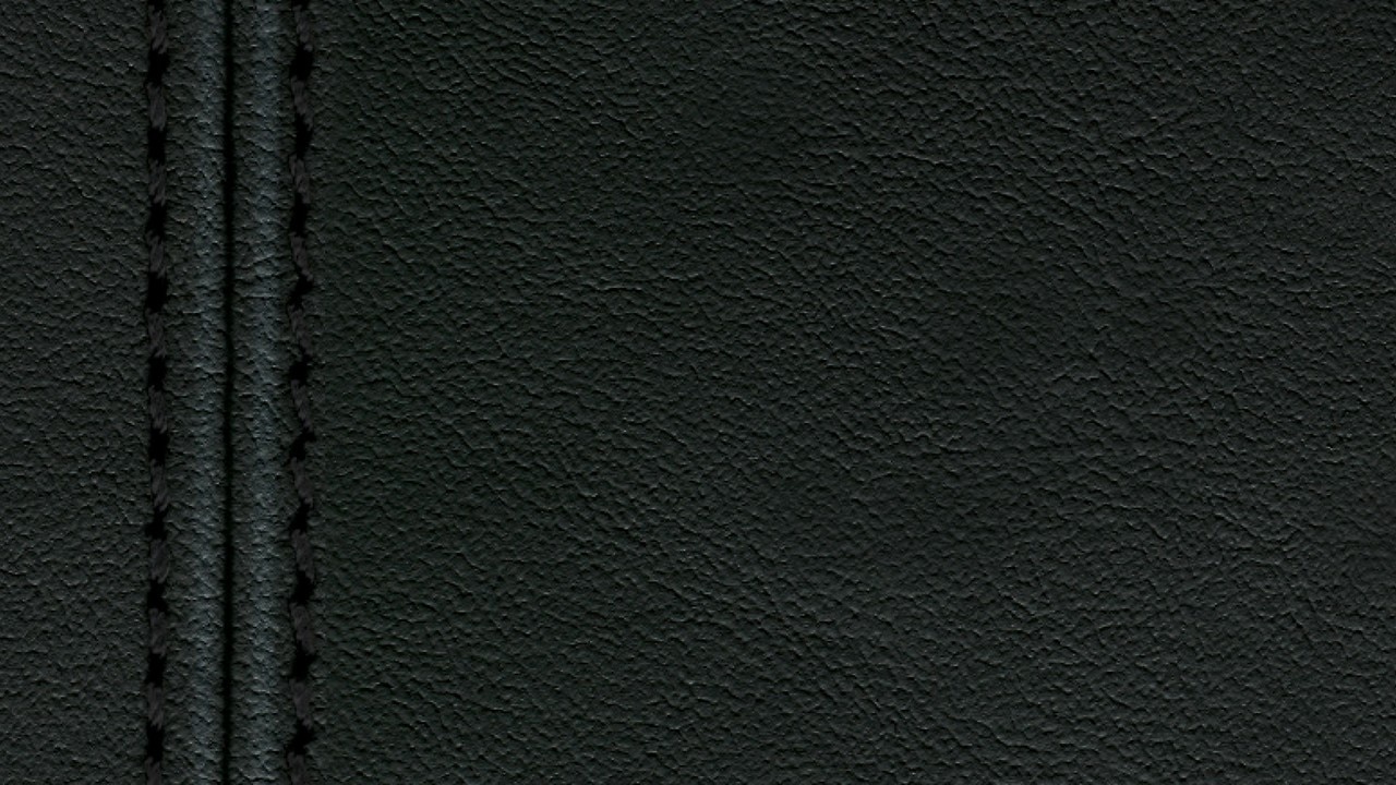 Vehicle interior color