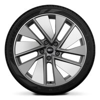 Wheels, 10-spoke trapezoidal module, platinum gray, glossy finish