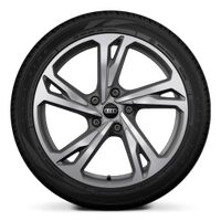 Wheels, 5-twin-spoke offset, platinum gray