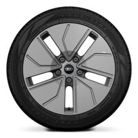 Wheels, 5-segment aero, platinum gray