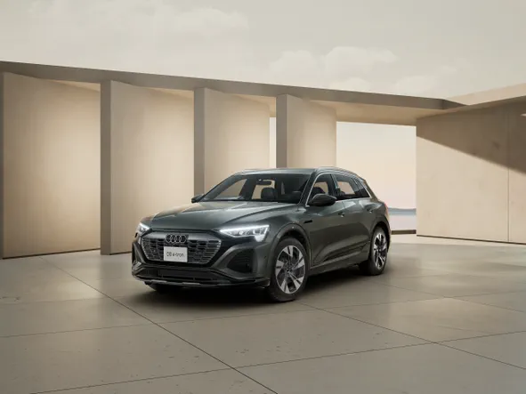 Q8 e-tron