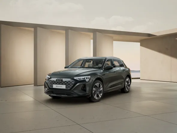 Q8 e-tron