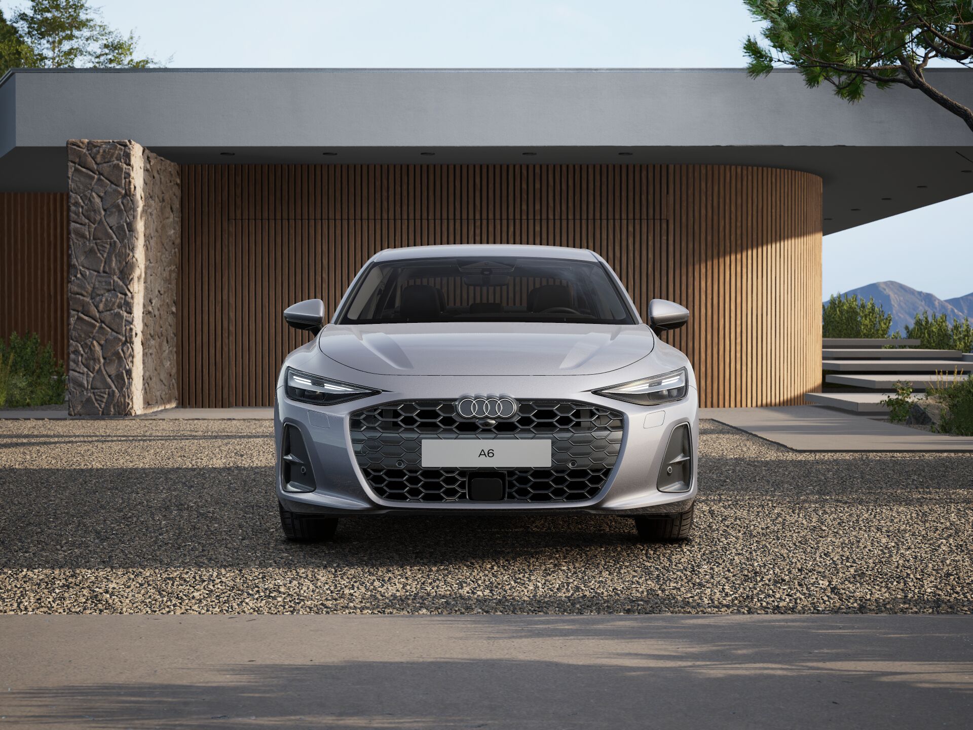 A6 Limousine 2