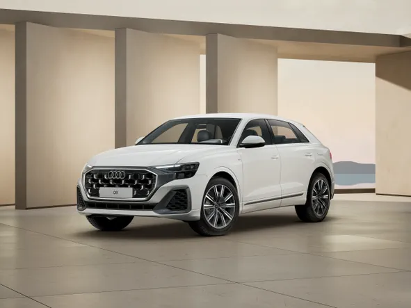 Q8 SUV TFSI e
