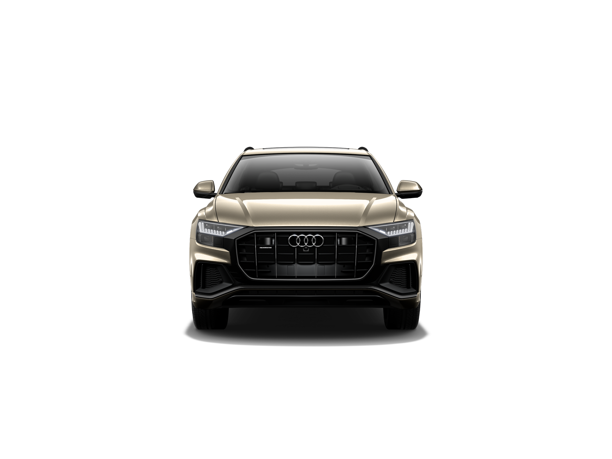2019 Audi Q8