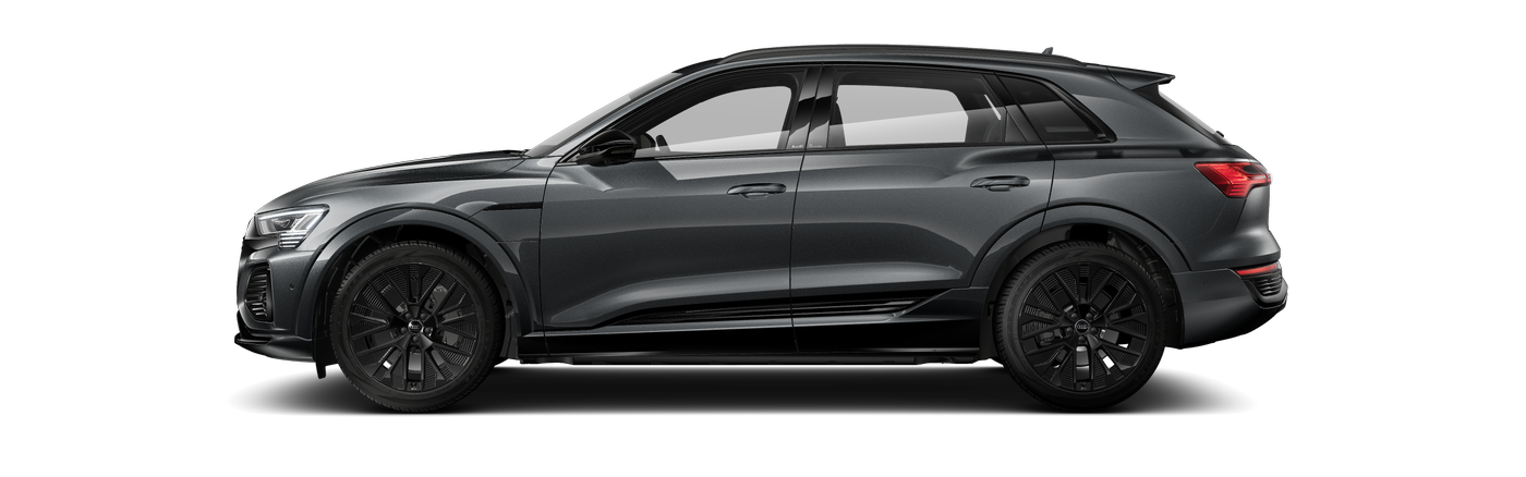 Image about Audi Q8 e-tron 55 e-tron quattro Launch Edition 300,00 kW