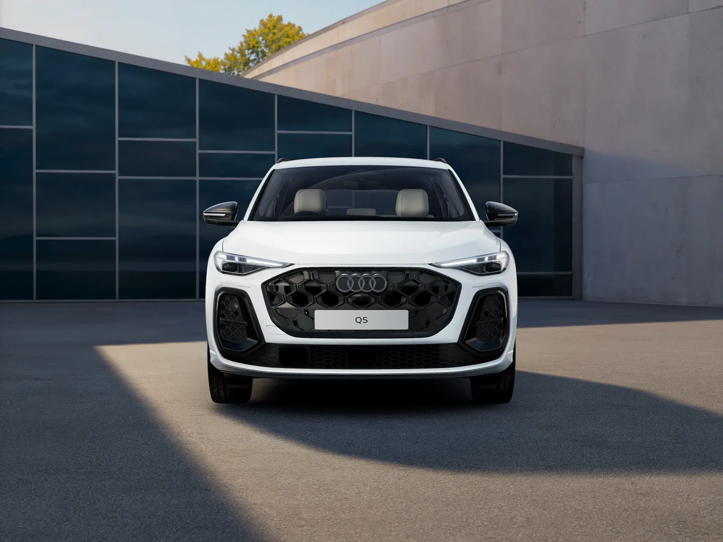 Image about Audi Q5 SUV TFSI S tronic