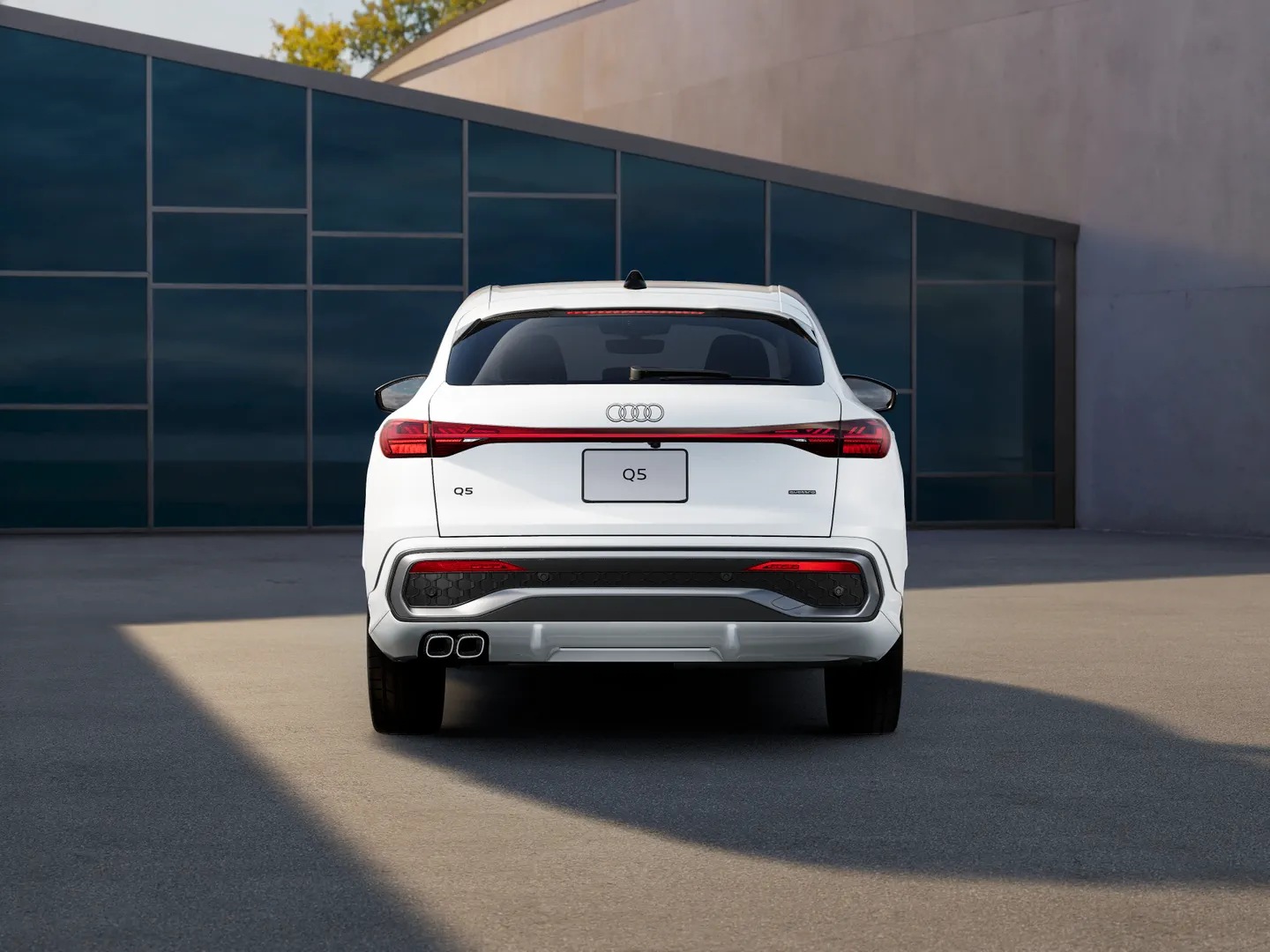 Audi Q5 Sportback TDI quattro 150 kW advancedS tronic リヤビュー