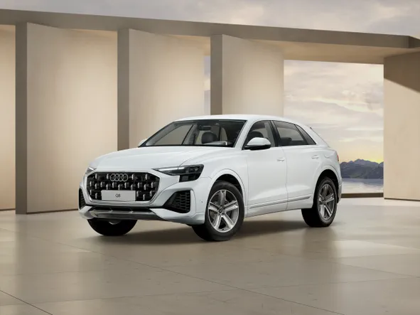 Q8 SUV TFSI e